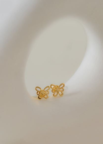Aretas Butterfly