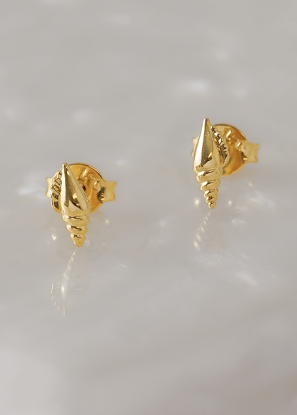 Aretes Shell